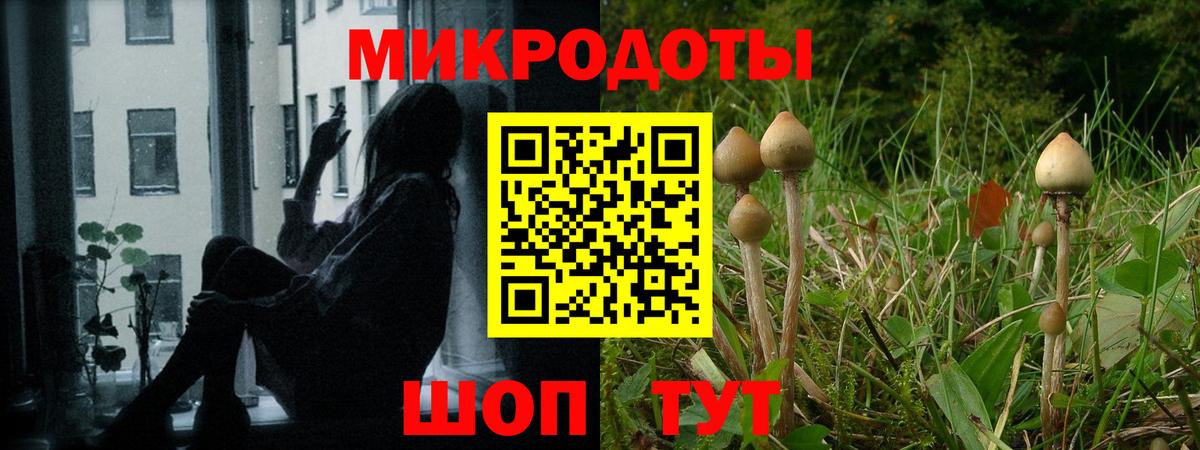 Галлюциногенные грибы Magic Shrooms Бузулук