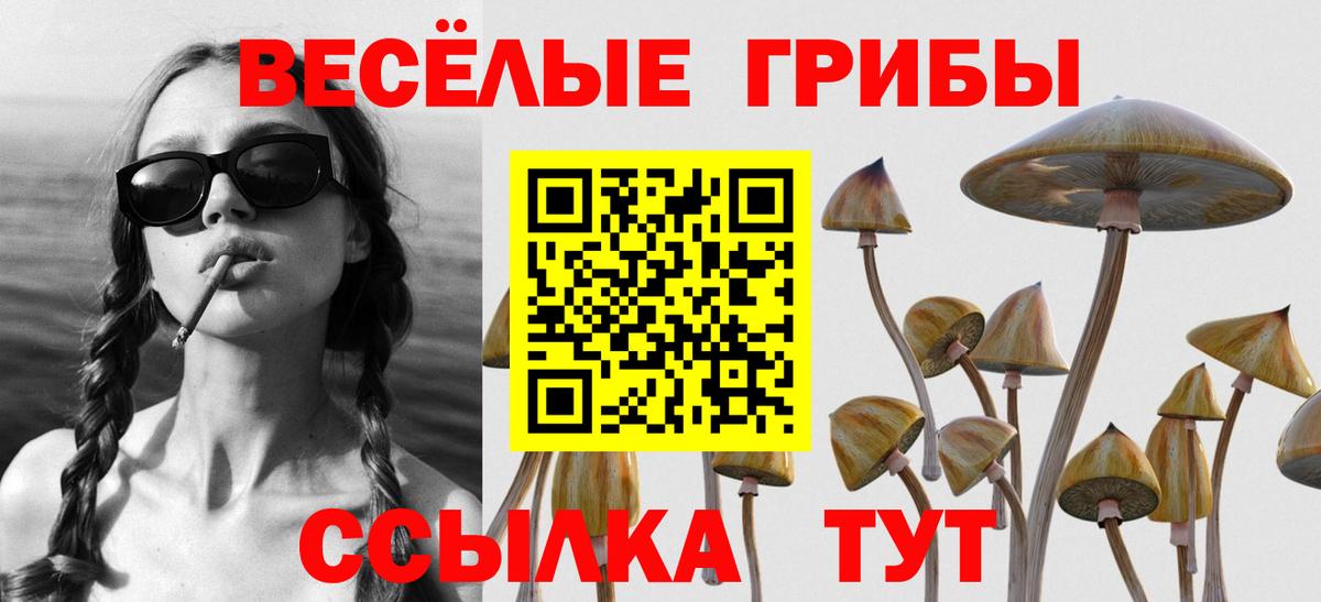 где можно купить наркотик  Псилоцибиновые грибы мицелий  Вход с VPN  Бузулук 